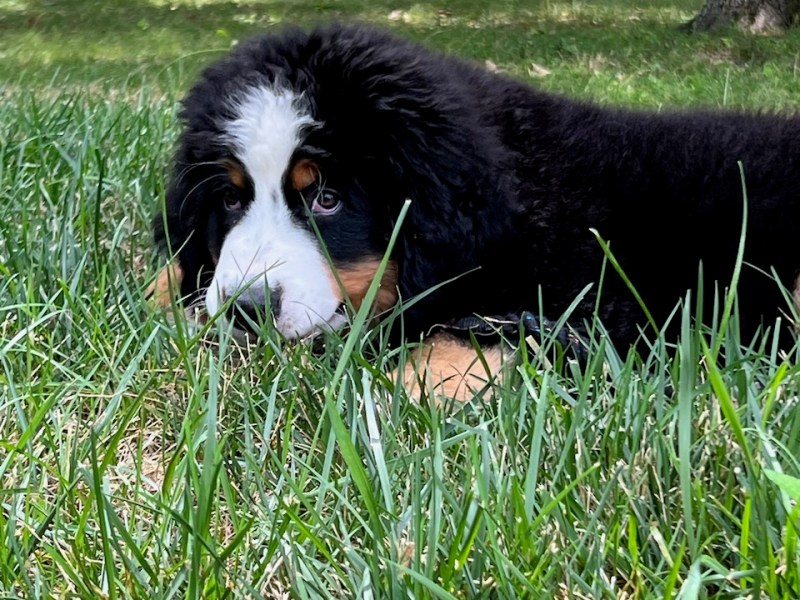 A Personal Summer of&nbsp;Covid